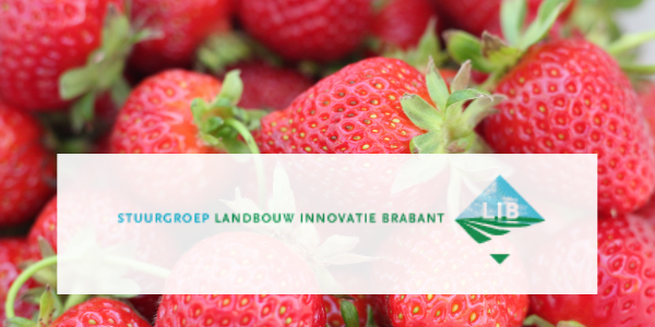 Bericht Stuurgroep LIB steunt honderden landbouwinnovaties  bekijken